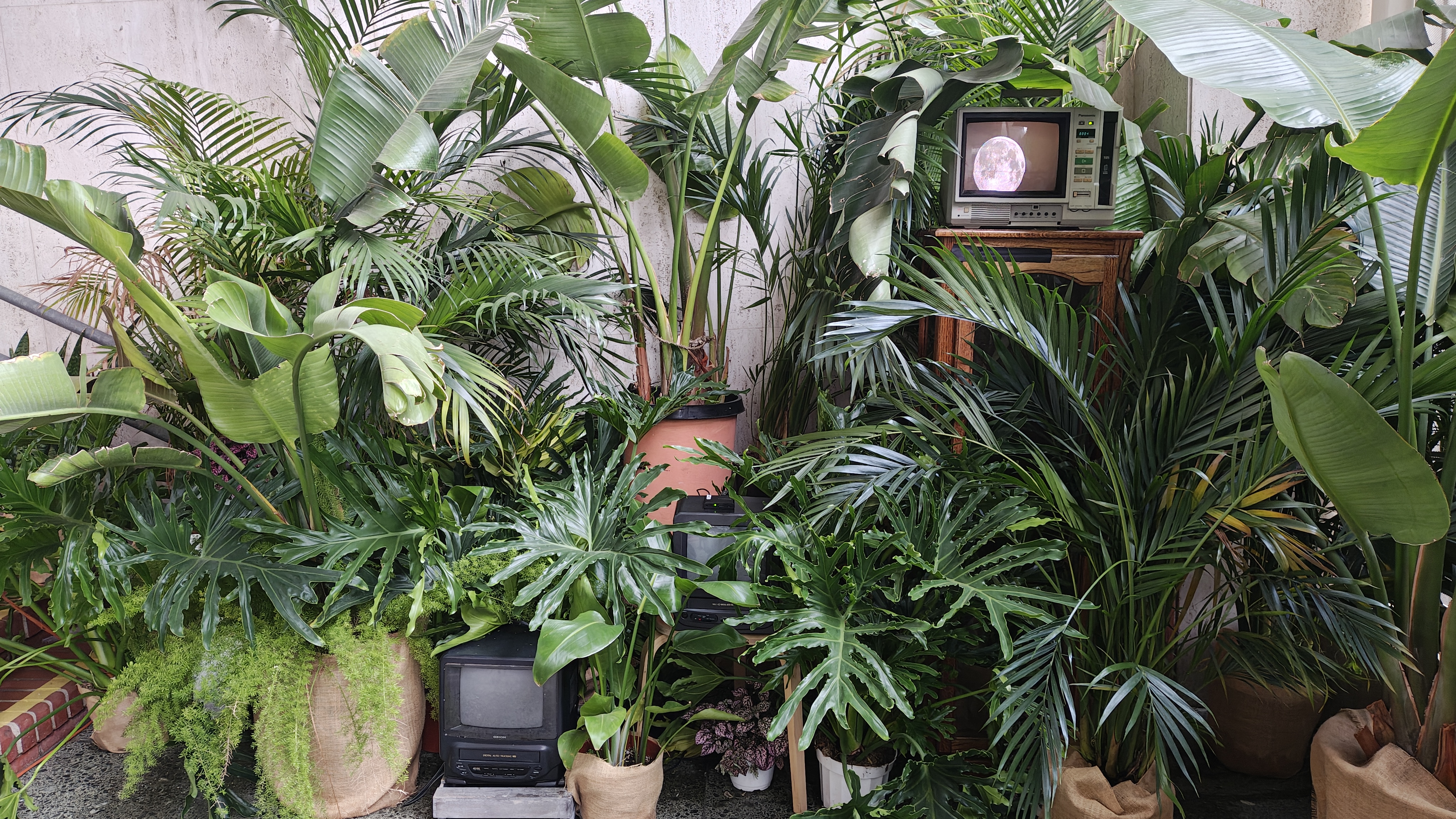 Winzig Zukunft Garten 2025 - Live performance piece at LACMA featuring interactive technology